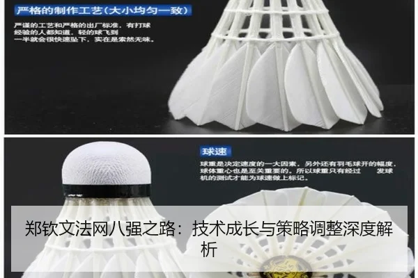 zheng-qin-wen-fa-wang-ba-qiang-zhi-lu-ji-shu-cheng-zhang-yu-ce-lve-tiao-zheng-shen-du-jie-xi-2-856.jpg